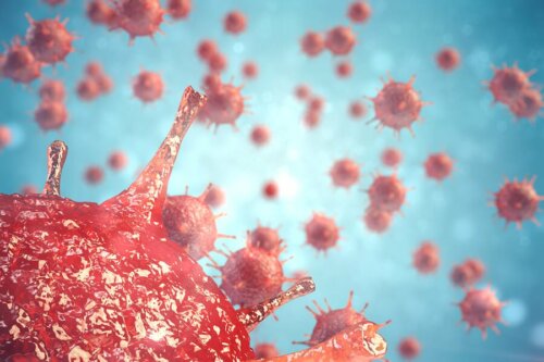 Des coronavirus 