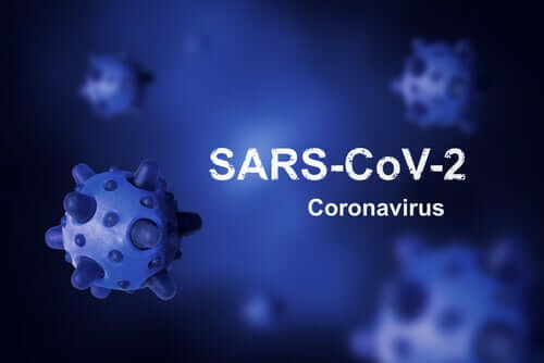 Quelle est l'origine du coronavirus et pourquoi n'a-t-elle pas pu être éradiquée ?