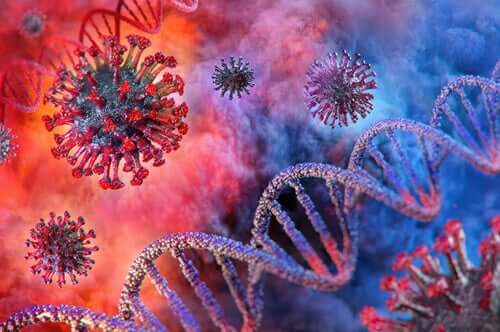 Le coronavirus et son impact sur les reins