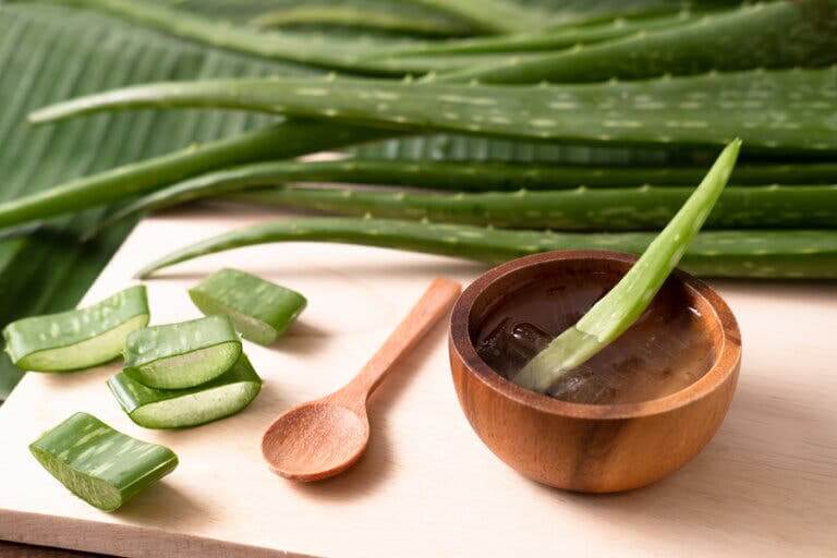 Les piqûres de guêpes peuvent être apaisées grâce à l'aloe vera