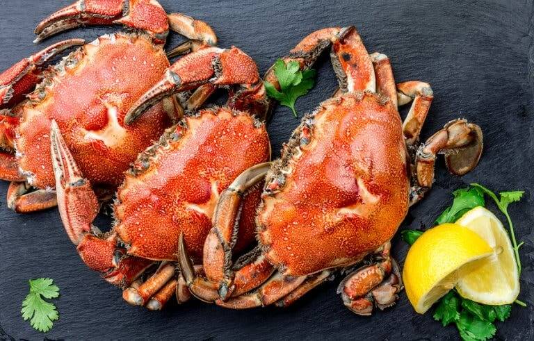 Des crabes frais pour faire un gâteau au crabe