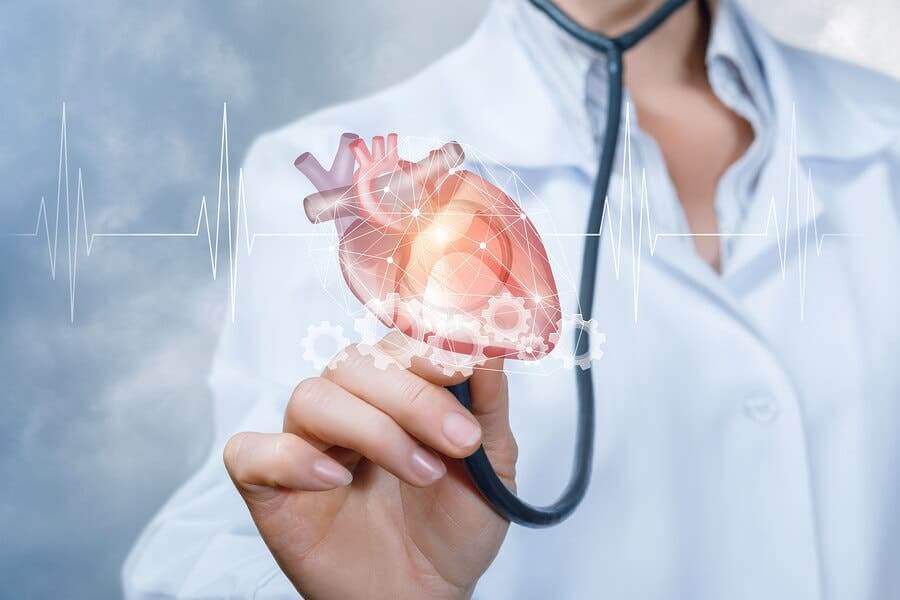 Le thé matcha contre les maladies cardiovasculaires