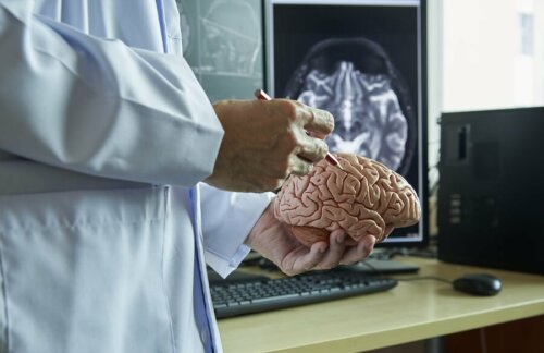 Un médecin qui analyse un cerveau pour comprendre l'état végétatif
