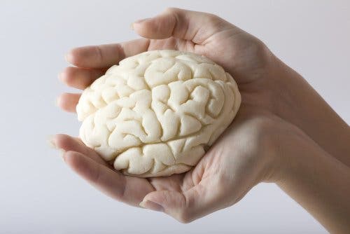 Les changements cérébraux qu'implique la grossesse