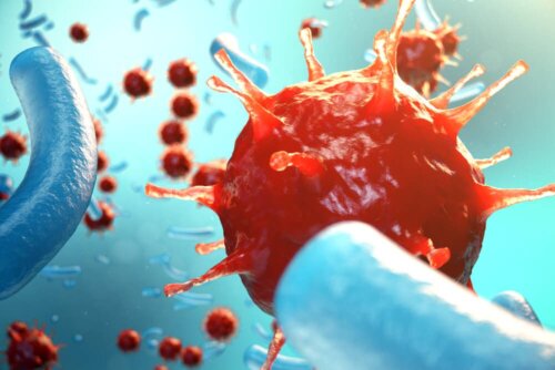 Les virus et les infections virales