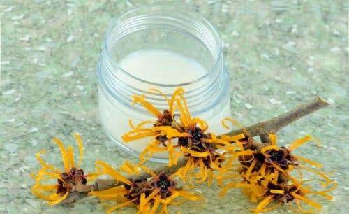 Les démangeaisons peuvent être traitées naturellement grâce à l'hamamélis