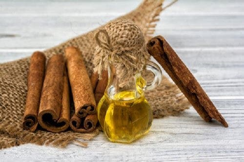 Lutter naturellement contre les piqûres de moustiques avec de l'huile de cannelle