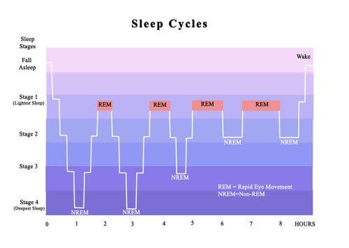 Les phases du sommeil et le trouble de l'insomnie