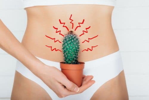 Un cactus devant l'utérus d'une femme représentant les douleurs découlant de la myomatose utérine géante