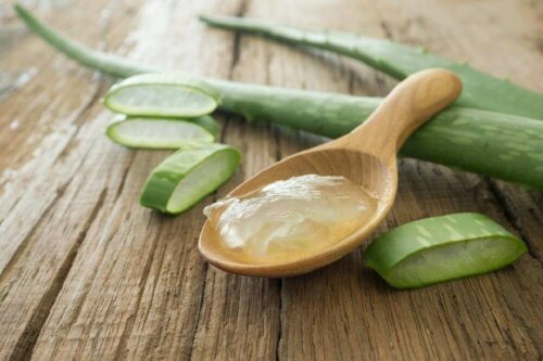 4 crèmes maison à l'aloe vera à ne pas manquer