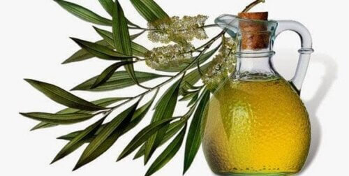 L'huile d'arbre à thé contre la dermatite séborrhéique