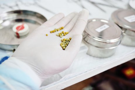 Des calculs biliaires