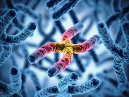 Les chromosomes X et le daltonisme