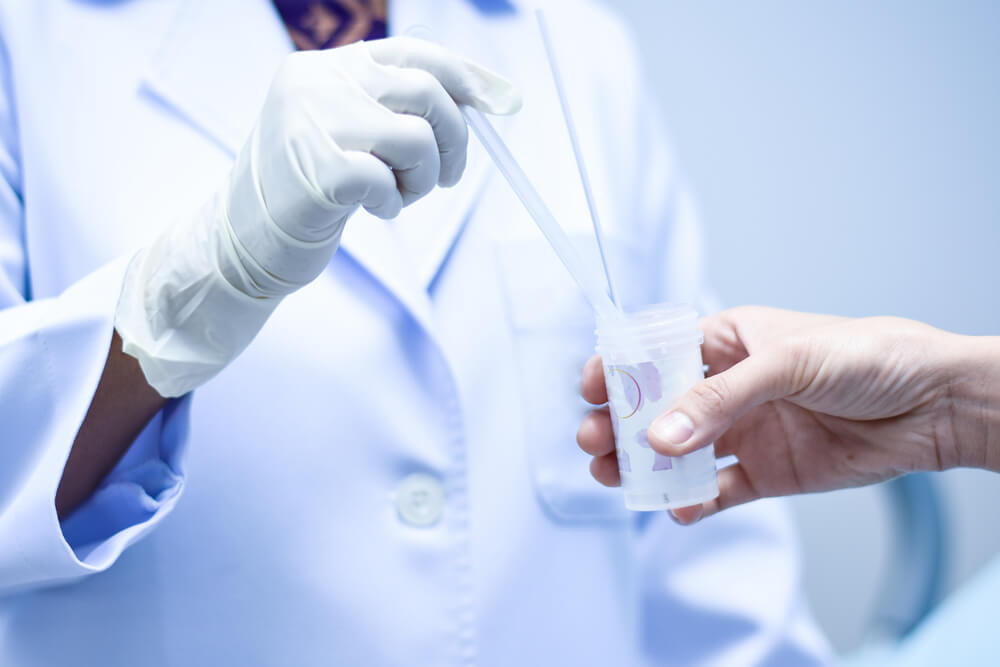 Un échantillon en laboratoire pour étudier le mycoplasme génital