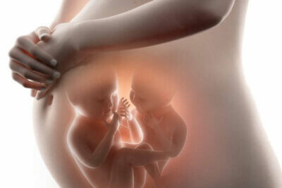 Tout ce que vous devez savoir sur le fœtus in fœtu