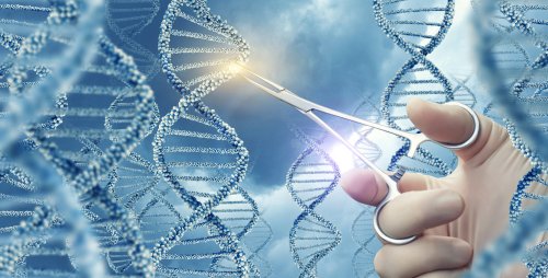 L'ADN et le syndrome de Zellweger
