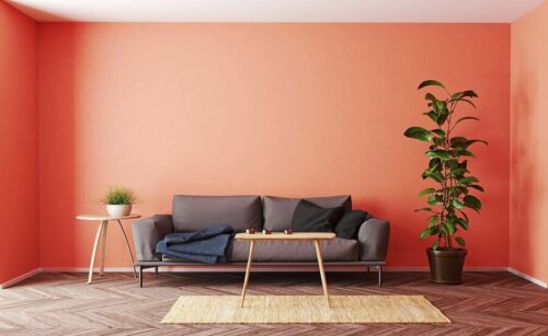 5 tendances de couleurs dans la décoration de votre maison