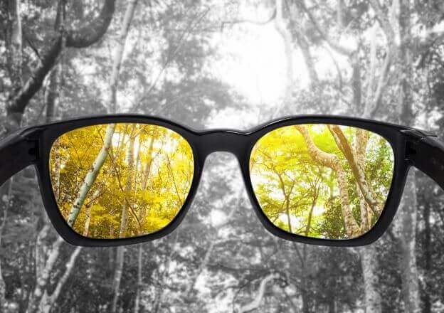 La vision chromatique déficiente ou le daltonisme : les causes