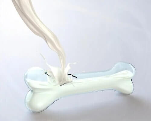 Le lait de chamelle est bon pour les os.
