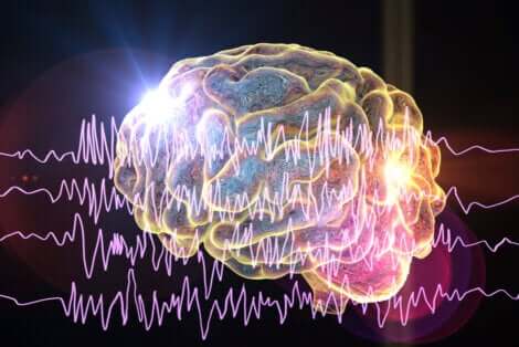 Le cerveau peut être soumis à différents types d'épilepsie.