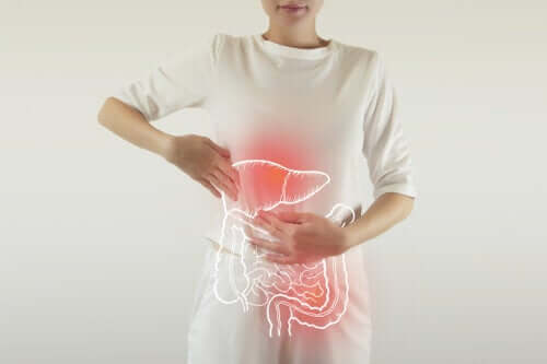 Enzymes digestives : à quoi servent-elles ?