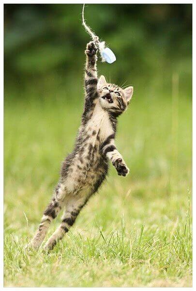 Faire preuve de résilience face à l'adversité