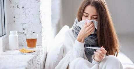 Le sureau contre le rhume et la grippe.