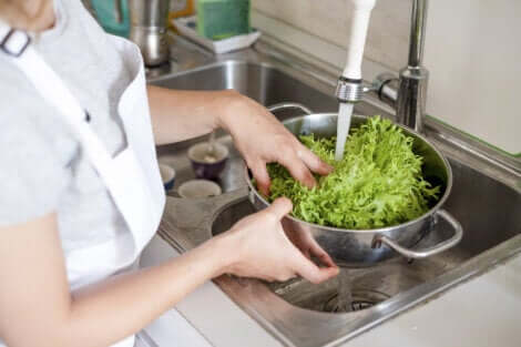 Bien laver les aliments pour éviter la contamination croisée.