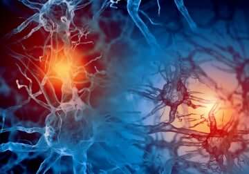 Des connexions neuronales.