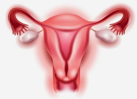 Dans quels cas procède-t-on à une ablation des ovaires ?