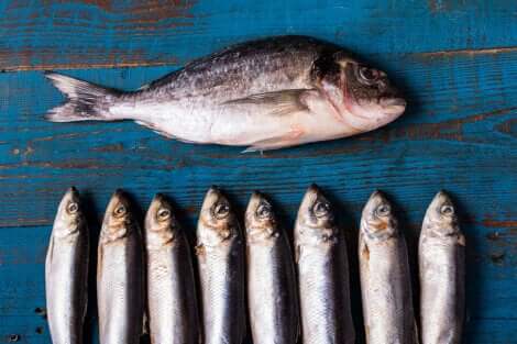 Consuming blue fish helps fight cholesterol.