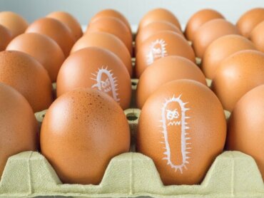 Pourquoi y-a-t-il une augmentation des cas de salmonellose pendant l’été ?