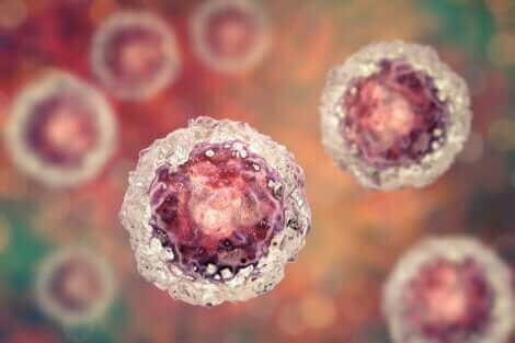 Le virus à l'origine de la mononucléose.