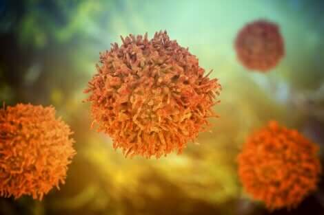 Les barrières biologiques et l'immunité acquise.