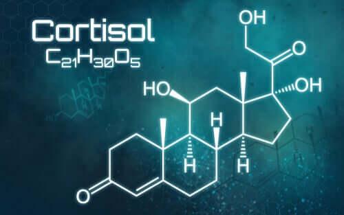 Quels sont les conséquences d'un excès de cortisol ?