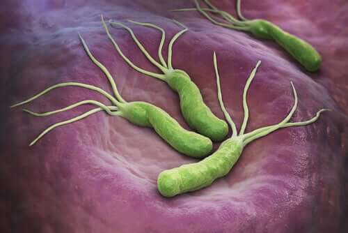 Helicobacter pylori et le cancer : sont-ils liés ?