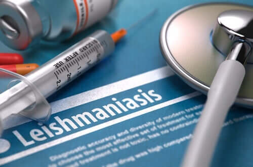 La leishmaniose est-elle contagieuse ?