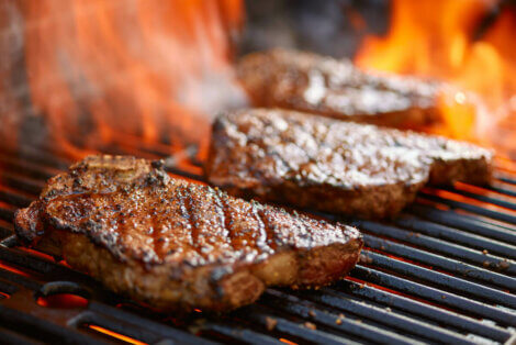 Le régime carnivore est-il viable ?
