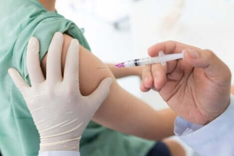 L'immunité acquise et la vaccination. 