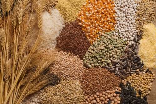 Comment inclure des graines dans votre alimentation ?