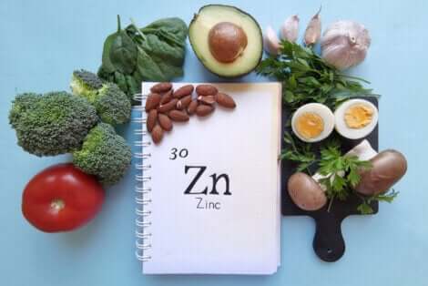 Les aliments contenant du zinc.