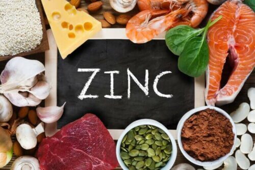Quelle est la fonction du zinc dans le corps ?