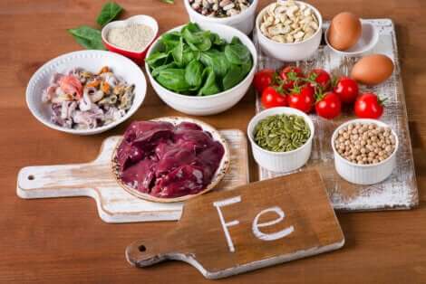 Les aliments contenant du fer.