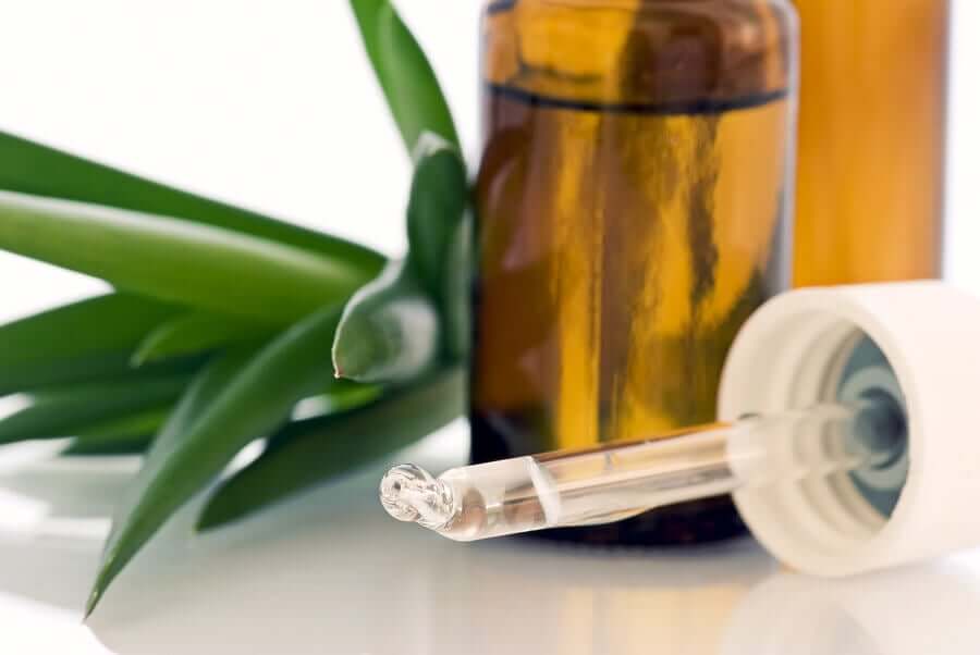 Aloe vera pour soulager les croûtes nasales.