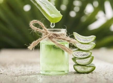 Gel d'aloe vera. 