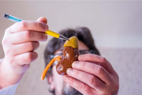 Les glandes surrénales.