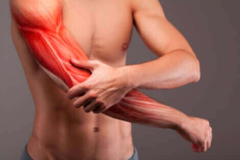 Les muscles du bras d'un homme.