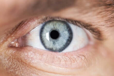 Gros plan sur un oeil.