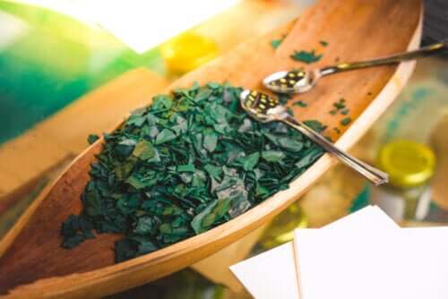 5 précautions et contre-indications avec la spiruline