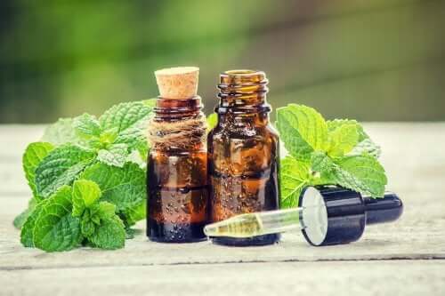 Traitement au romarin et à l'ortie pour les cheveux